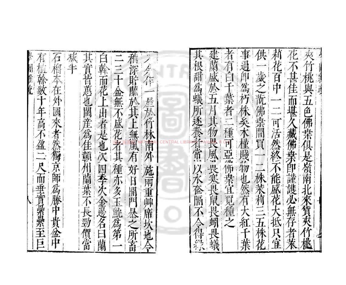 14145-學圃雜說_(明)王世懋撰_明萬曆間(1573-1620)繡水沈氏尚白齋刊本1