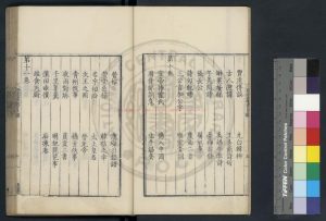 14590-野客叢書_(宋)王楙撰_明萬曆間(1573-1620)繡水沈氏尚白齋刊本1