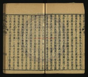 15276-娛目醒心編_清（清）杜綱撰_（清）許寶善評_清乾隆五十七年(1792)刻本1