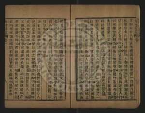 15338-雨村詩話_清李調元撰_清嘉慶元年(1796)九經堂刊本1