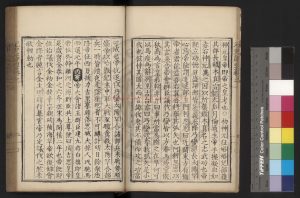 15628-元史節要_(明)張九韶撰_明洪武丁丑(三十年_1397)建安書堂刊本1