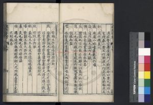 15882-韻書通用字考_(明)顧起淹撰_明萬曆間(1573-1620)刊本1