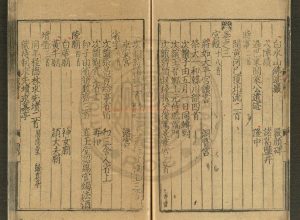 15981-增刊校正王狀元集諸家注分類東坡先生詩_(宋)蘇軾撰_明成化間汪氏誠意齋集書堂刊本1