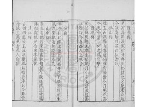 16435-中峯禪師梅花百詠_(元)中峯禪師撰_明萬曆間金陵荊山書林刋本1