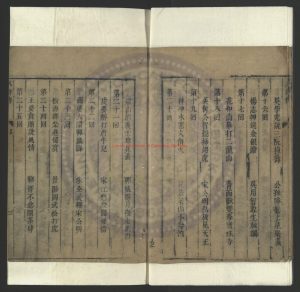 16528-忠義水滸全書_元（元）施耐庵撰_明末芥子園刻本1