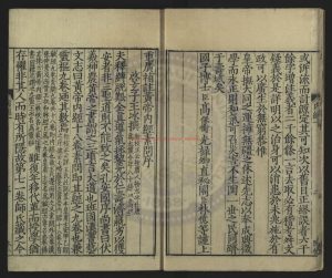 16594-重廣補註黃帝內經素問(1550)唐（唐）王冰註_（宋）林億等校正_（宋）孫兆改誤_清乾隆十二年(1747)刻本1