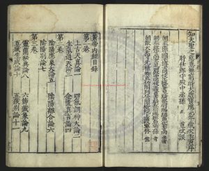 16595-重廣補註黃帝內經素問(1550)唐（唐）王冰註_（宋）林億等校正_（宋）孫兆改誤_清乾隆十五年(1750)刻本1