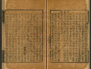 16836-周易集說_(元)俞琰撰_元至正十年(1350)俞氏讀易樓刊本1