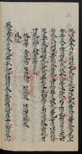 16938-硃批葉天士臨證指南幼科集要_葉天士_馮君語_1