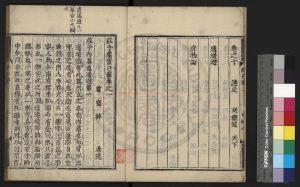 17112-莊子鬳齋口義_(宋)林希逸撰_(宋)林希逸發題_日本寬永六年(1629)風月宗知刊本1