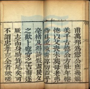 17256-總督奏議_清李蔭祖撰_清康熙間刊本。1662-17221