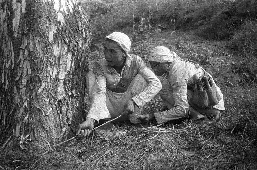 【JPG清晰版】._延安民兵准备引爆拉绳地雷