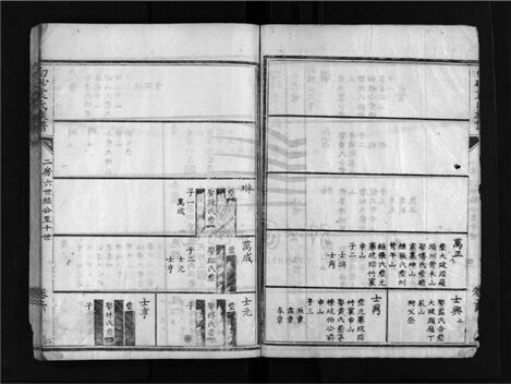 _[福建上杭]重修白砂袁氏宗譜四卷首一卷（第六冊二房繼公裔至愛山公裔）__