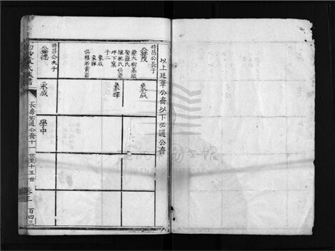 _[福建上杭]重修白砂袁氏宗譜四卷首一卷（第五冊長房必道公裔至志崇公裔）__