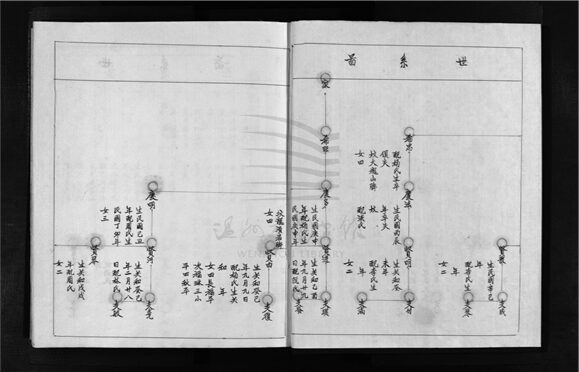 _[浙江樂清]重修殿東黃氏宗譜（第二冊）__