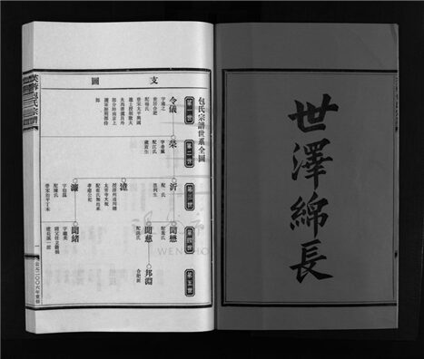 _[浙江樂清]重修芙蓉包氏宗譜（第二冊）__