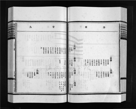 _[浙江樂清]重修芙蓉林氏宗譜十六卷（第十冊卷九下）__