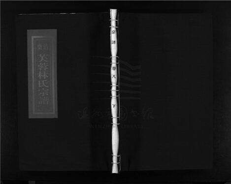 _[浙江樂清]重修芙蓉林氏宗譜十六卷（第九冊卷八下）__