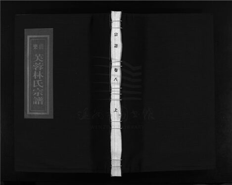 _[浙江樂清]重修芙蓉林氏宗譜十六卷（第八冊卷八上）__