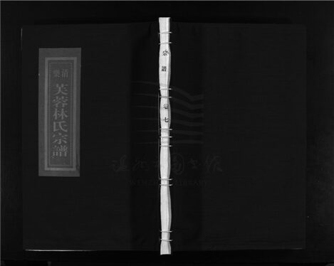 _[浙江樂清]重修芙蓉林氏宗譜十六卷（第七冊卷七）__