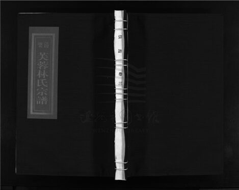 _[浙江樂清]重修芙蓉林氏宗譜十六卷（第三冊卷三）__