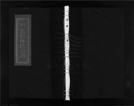 _[浙江樂清]重修芙蓉林氏宗譜十六卷（第一冊卷一）__