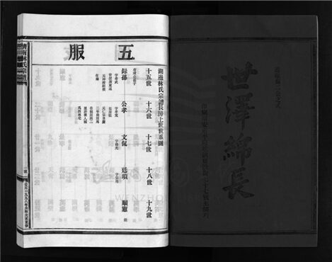 _[浙江樂清]重修濟南林氏宗譜（第十五冊）__