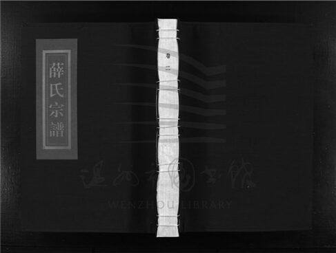 _[浙江樂清]重修河東薛氏宗譜（第二冊上）__