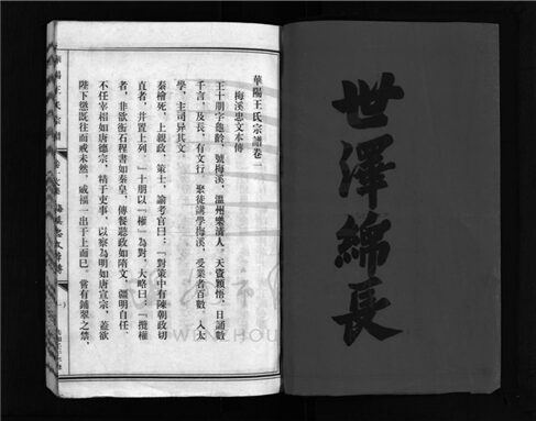 _[浙江樂清]增修華陽王氏宗譜（第四冊）__