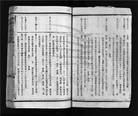 _[浙江樂清]重修華陽王氏宗譜（第十三冊）__