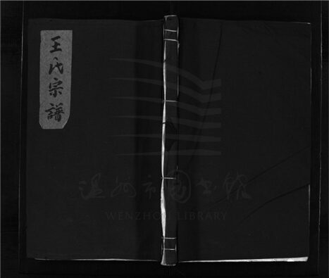 _[浙江樂清]重修華陽王氏宗譜（第二冊）__