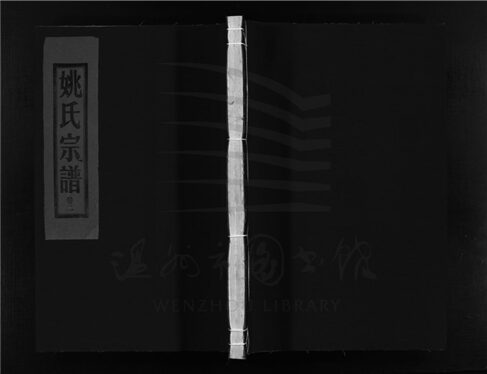 _[浙江樂清]重修吳興郡姚氏宗譜三卷（第二冊卷二）__