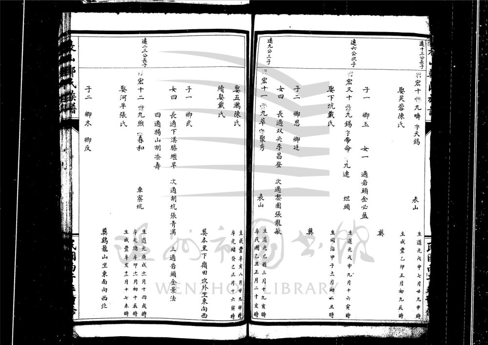 _[浙江永嘉]重修表山鄭氏族譜（第五冊）__