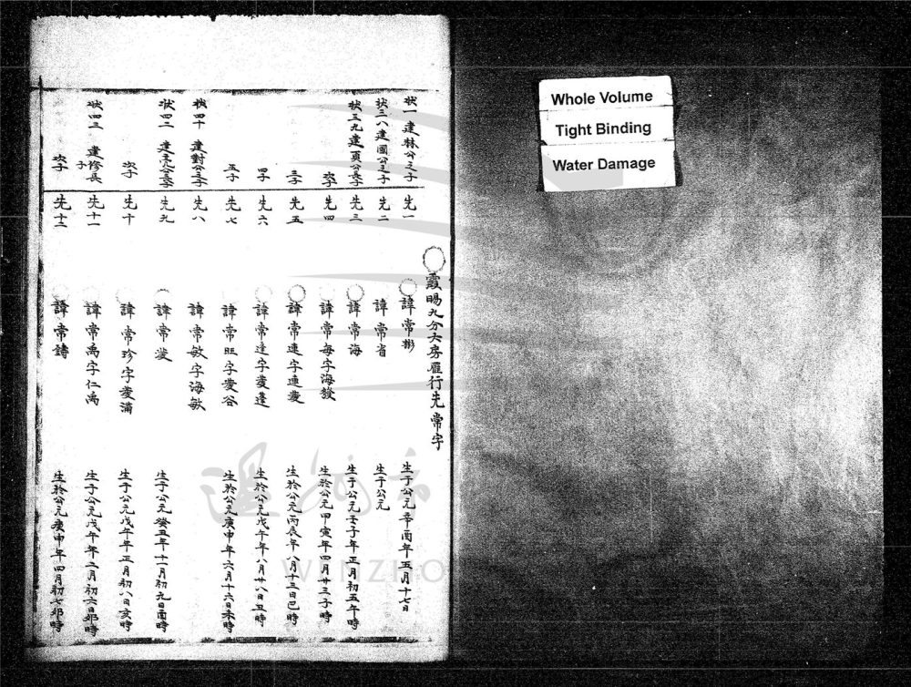 _[浙江永嘉]續修西源谷氏族譜（第八冊）__