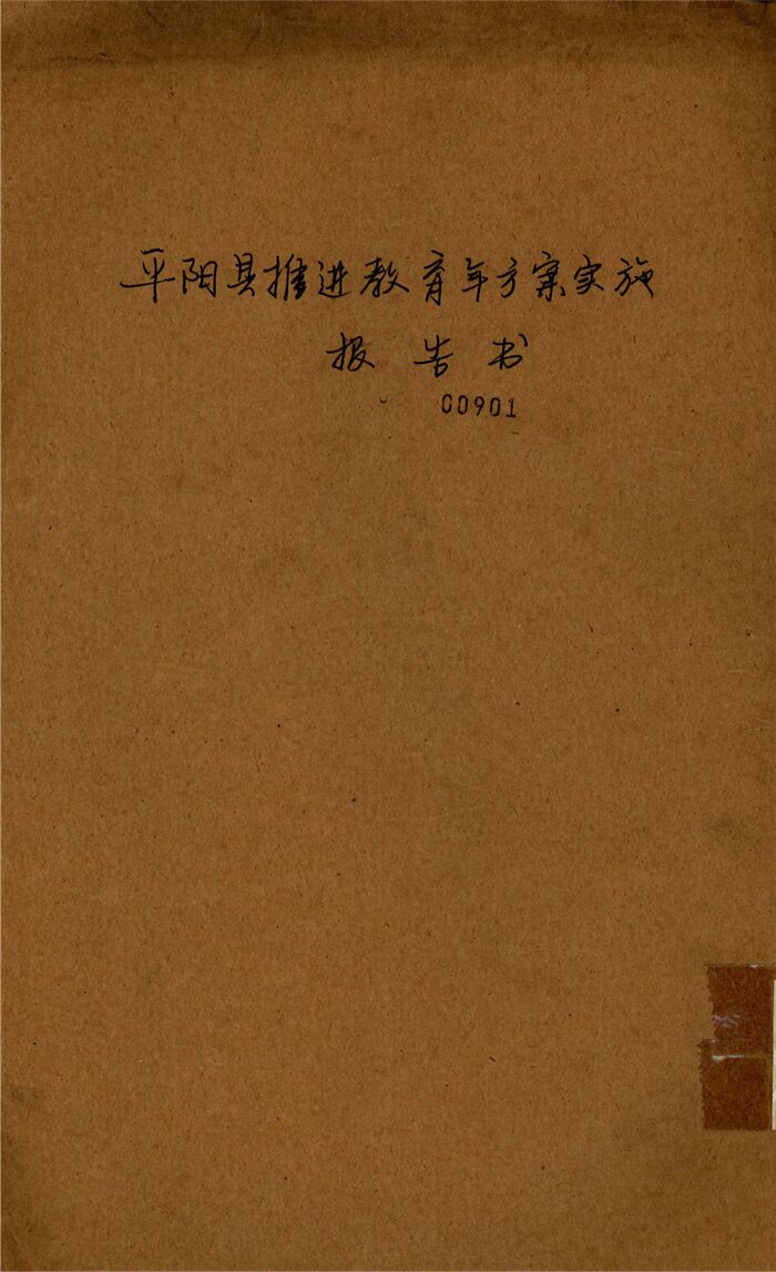 _平陽縣推進教育年方案實施報告書__