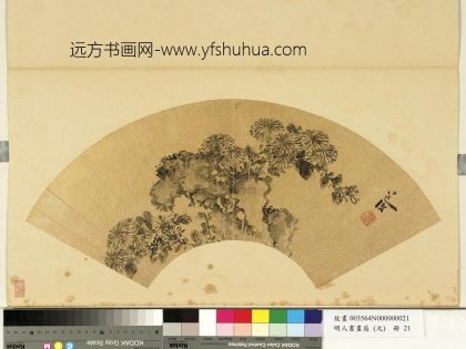 明人画扇（元）册-明陈淳菊石