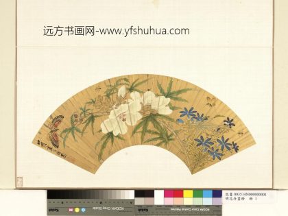 明花卉画册-明陈洪绶花卉