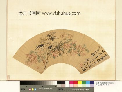 明花卉画册-明陈淳花卉