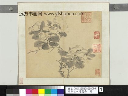 明陈栝四时花卉册-山茶