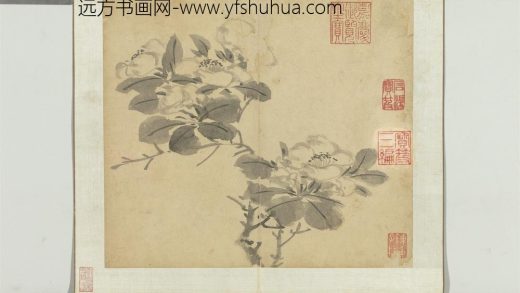 明陈栝四时花卉册-山茶