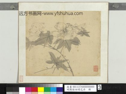 明陈栝四时花卉册-木芙蓉