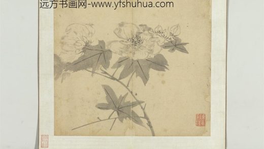 明陈栝四时花卉册-木芙蓉