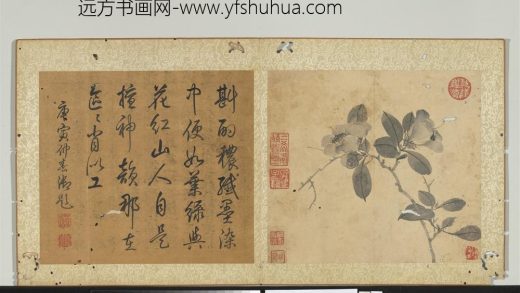 明陈淳画花卉册-茶花