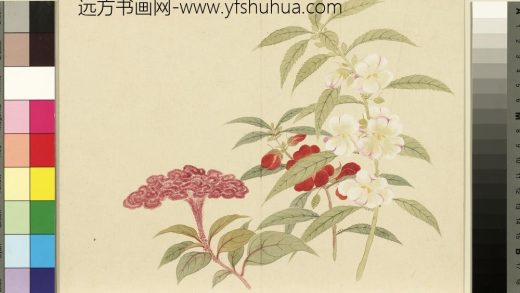 清_董诰四景花卉（三）册秋景花卉之八