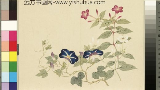 清_董诰四景花卉（三）册秋景花卉之六