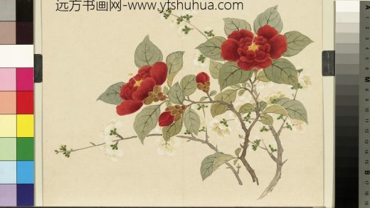 清_董诰四景花卉（四）册冬景花卉之五