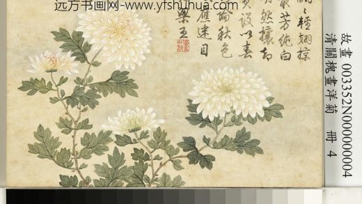 清关槐画洋菊册_蝶翅丛