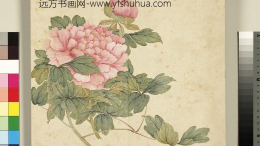 清程琳画四时花卉册-牡丹