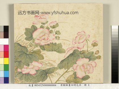 清程琳画四时花卉册-芙蓉