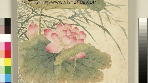 清程琳画四时花卉册-莲花芦苇